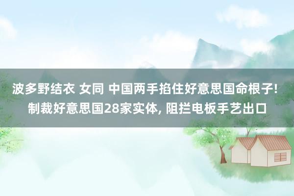 波多野结衣 女同 中国两手掐住好意思国命根子! 制裁好意思国28家实体， 阻拦电板手艺出口