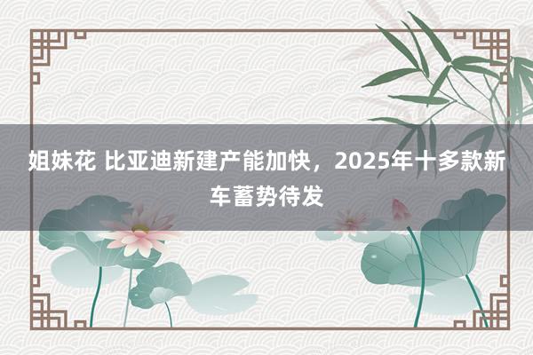 姐妹花 比亚迪新建产能加快，2025年十多款新车蓄势待发