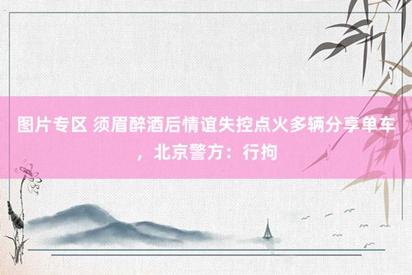 图片专区 须眉醉酒后情谊失控点火多辆分享单车，北京警方：行拘
