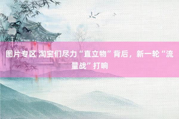 图片专区 淘宝们尽力“直立物”背后，新一轮“流量战”打响