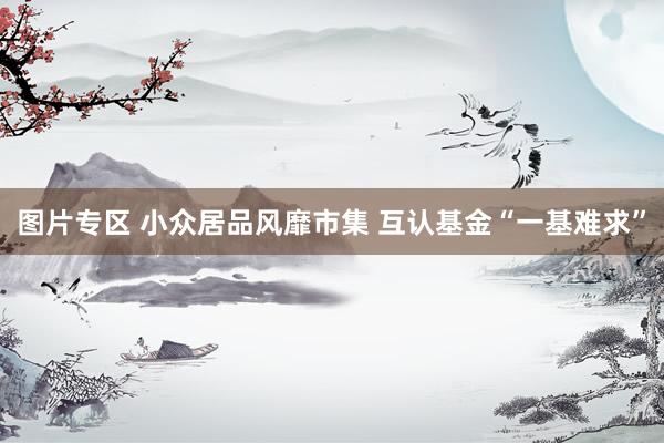 图片专区 小众居品风靡市集 互认基金“一基难求”