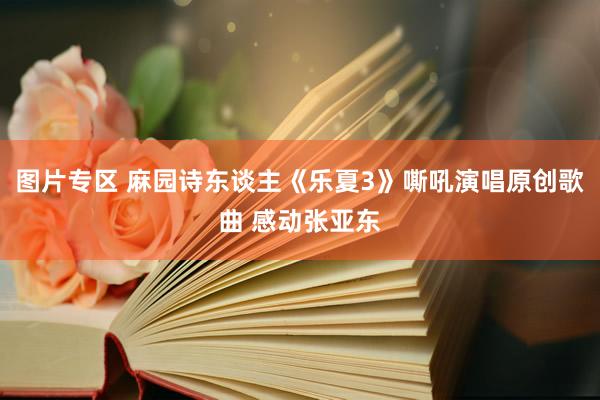 图片专区 麻园诗东谈主《乐夏3》嘶吼演唱原创歌曲 感动张亚东