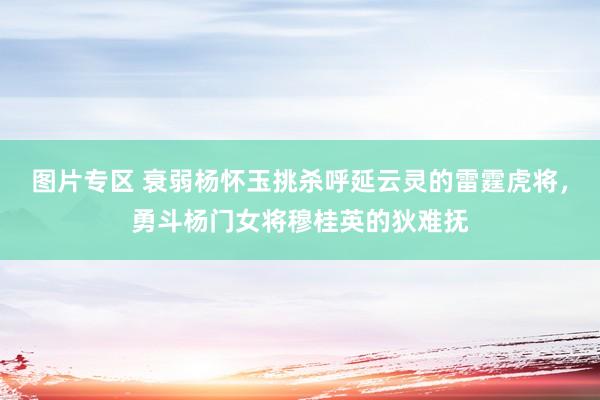 图片专区 衰弱杨怀玉挑杀呼延云灵的雷霆虎将，勇斗杨门女将穆桂英的狄难抚