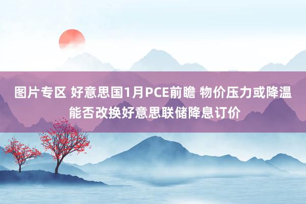 图片专区 好意思国1月PCE前瞻 物价压力或降温 能否改换好意思联储降息订价