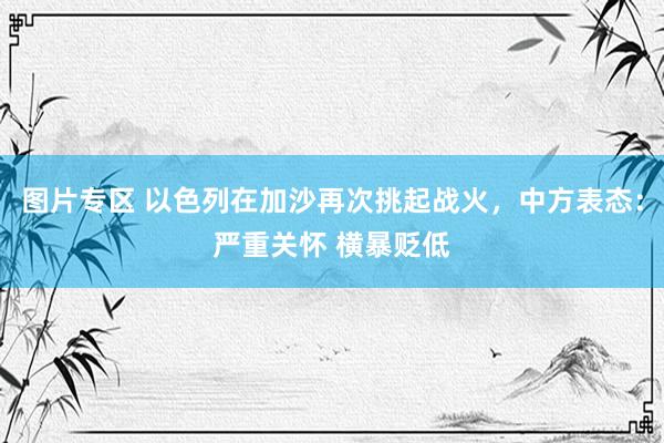 图片专区 以色列在加沙再次挑起战火，中方表态：严重关怀 横暴贬低