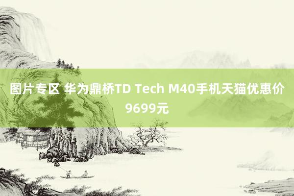 图片专区 华为鼎桥TD Tech M40手机天猫优惠价9699元