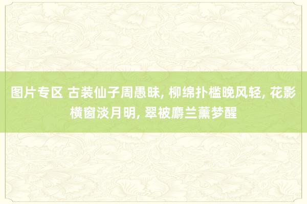 图片专区 古装仙子周愚昧， 柳绵扑槛晚风轻， 花影横窗淡月明， 翠被麝兰薰梦醒