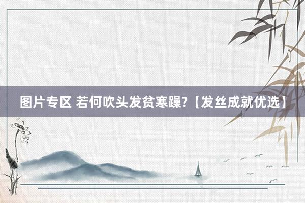图片专区 若何吹头发贫寒躁?【发丝成就优选】