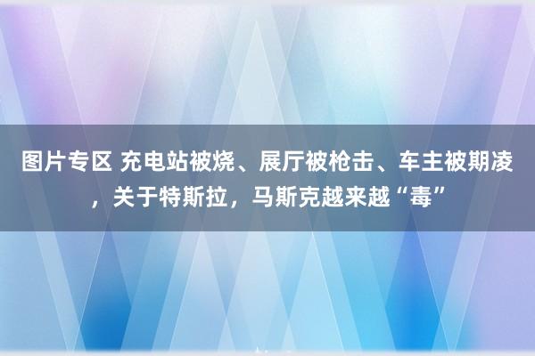 图片专区 充电站被烧、展厅被枪击、车主被期凌，关于特斯拉，马斯克越来越“毒”