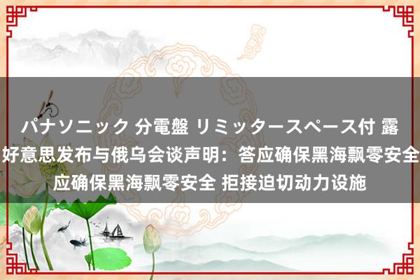 パナソニック 分電盤 リミッタースペース付 露出・半埋込両用形 好意思发布与俄乌会谈声明：答应确保黑海飘零安全 拒接迫切动力设施