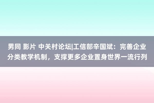 男同 影片 中关村论坛|工信部辛国斌：完善企业分类教学机制，支撑更多企业置身世界一流行列