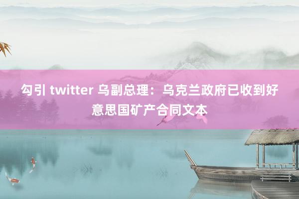 勾引 twitter 乌副总理：乌克兰政府已收到好意思国矿产合同文本