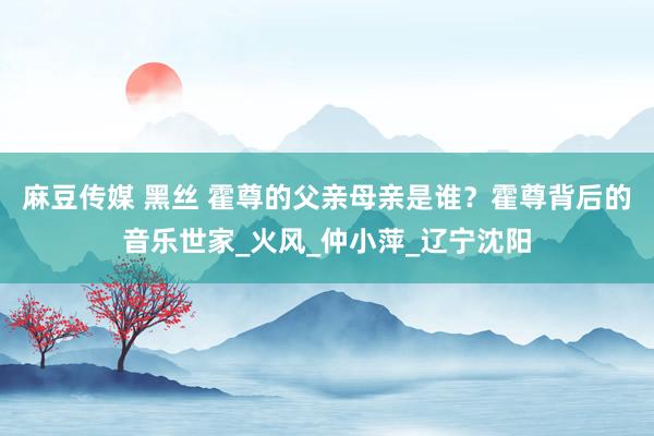 麻豆传媒 黑丝 霍尊的父亲母亲是谁？霍尊背后的音乐世家_火风_仲小萍_辽宁沈阳