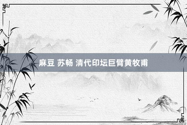 麻豆 苏畅 清代印坛巨臂黄牧甫