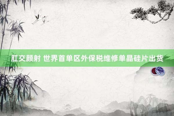 肛交颜射 世界首单区外保税维修单晶硅片出货