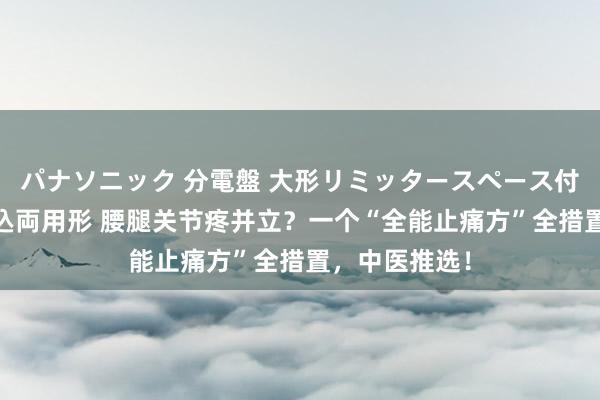 パナソニック 分電盤 大形リミッタースペース付 露出・半埋込両用形 腰腿关节疼并立？一个“全能止痛方”全措置，中医推选！