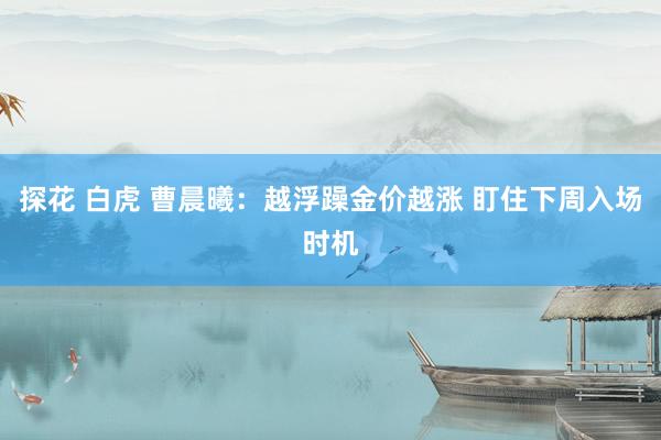 探花 白虎 曹晨曦：越浮躁金价越涨 盯住下周入场时机