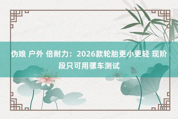 伪娘 户外 倍耐力：2026款轮胎更小更轻 现阶段只可用骡车测试